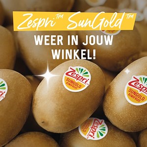 Wij kunnen onze verrekijker bijna niet geloven... de SunGold-kiwi's liggen in de winkels! 🤩​ Heb jij ze al gespot? 🔍 | Zespri Kiwifruit Nederland