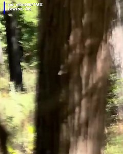 Do you believe? A man claims he captured this video of Bigfoot, but some online believe it is a hoax. | | FOX19