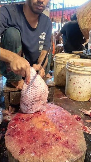 Unbelievable Tilapia Fish Cutting 🔪 | Traditional Filleting & Cleaning Skills #shorts