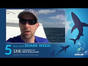 Countdown to Shark Week 2016