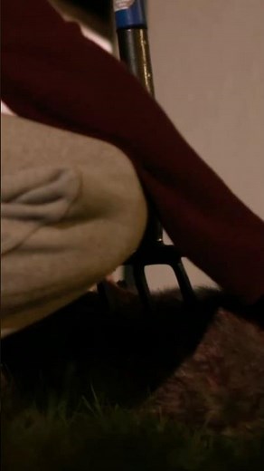 Who K*lled the Neighbour’s Dog? 😱 | The Curious Incident of the Dog in the Night-Time