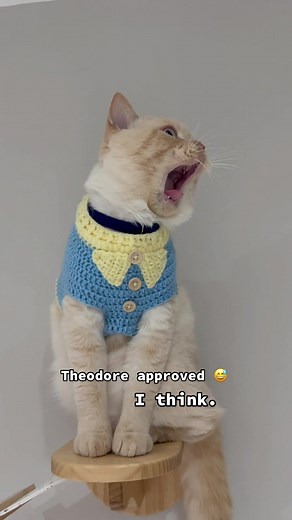 DIY Cat Sweater Crochet Tutorial