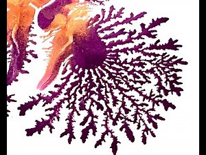 🌺🌼🌺 FRACTAL FLOWER Garden ~ Inspired! 🌺🌼🌺 | Dendrites