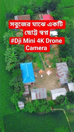 সবুজ অরণ্যের মায়া ঘেরা এক ছোট্ট স্বপ্ন🌿💖#shorts #djimini4k #youtubeshorts#viral #drone #dji #nature