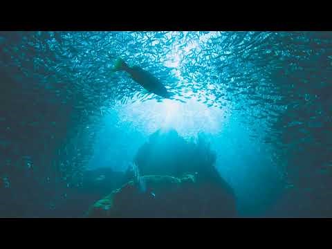 Snatam Kaur - Ongkaar Nirankaar [Official Music Video]