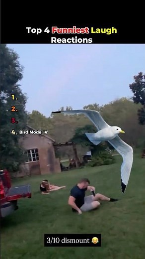 Ranking the Funniest Laughs Reactions