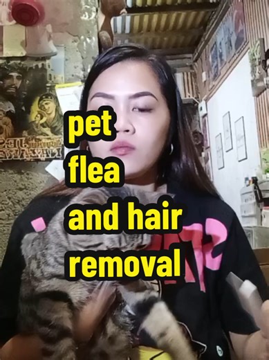 Effective Flea and Hair Removal for Pets