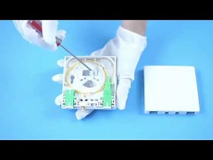 2 Ports Optical Termination Outlet FTTH Fiber Wall Socket for SCLC Adapters