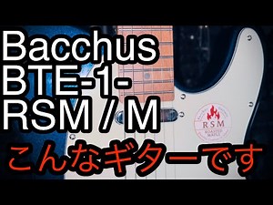 BacchusBTE-1-RSM / Mこんな感じのギターです
