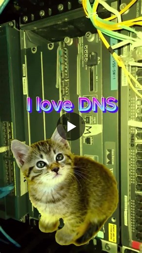 #dns #explainervideos | Octa Networks