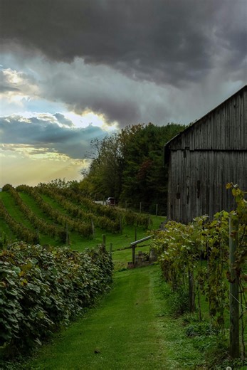 Workshop ” Extreme weather events impacts on vineyards”