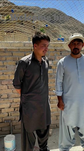 #Pigeons lover | Colorful birds