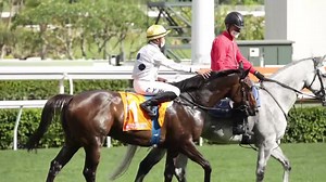 1.6K views · 48 reactions |...