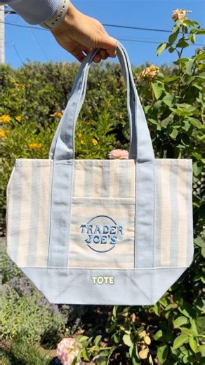 TRADER JOE’S STRIPED MINI CANVAS TOTE BAGS ✨ #traderjoes #traderjoesfinds #totebag