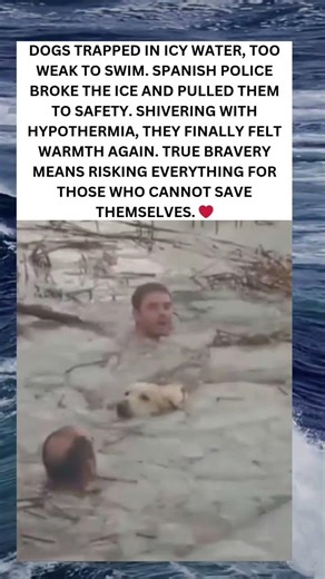 Bravery on Thin Ice ❄️🐾