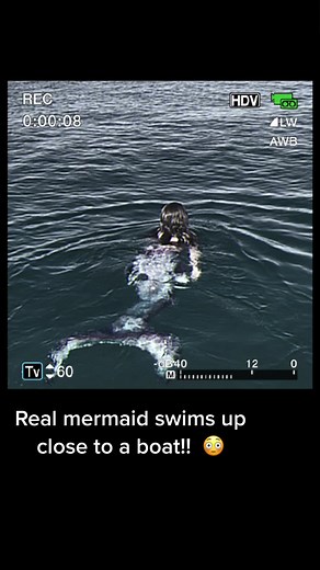 Real Mermaid Caught on Camera Swimming Up Close to a Boat