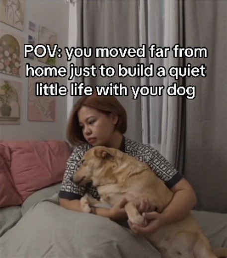 POV: Moving Far From Home to Build a Quiet Life With Your Dog