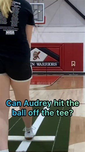 One of the big things Audrey’s coach wants her to work on is consistency with her low and inside fastball So at the end of our lesson yesterday we set up a ball on a tee to see if she could hit the ball I usually don’t like to do drills like this because while it’s fun for the pitcher, I’ve found that most pitchers who do this tend to throw mechanics out the window and just slow down and aim for the ball But I knew Audrey wouldn’t do that, so we tried it And eventually she did hit the ball! But 