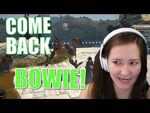 Final Fantasy XIV Stormblood How to get a Chocobo Mount - My Little Chocobo Quest FFXIV!