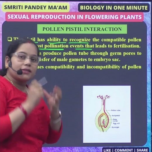 25 POLLEN PISTIL INTERACTION #neet #biologyclass12 #biology #reproduction #upsc #class #science
