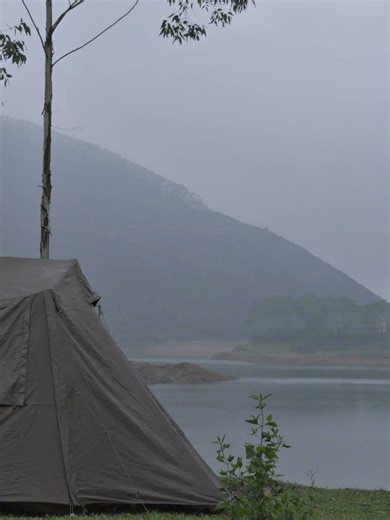 Peaceful Morning Timelapse | Birds Singing, No Talking#wildcamping #outdoorlife #shorts #rawcamping