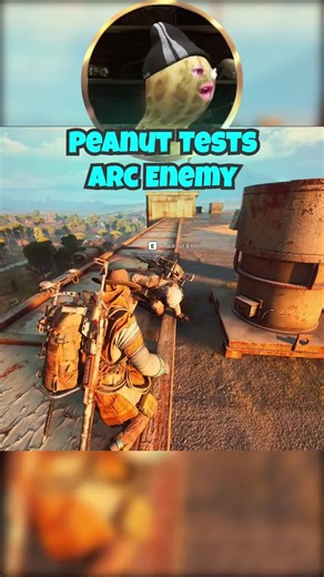 Peanut Tests Arc Enemy in Gaming Challenge