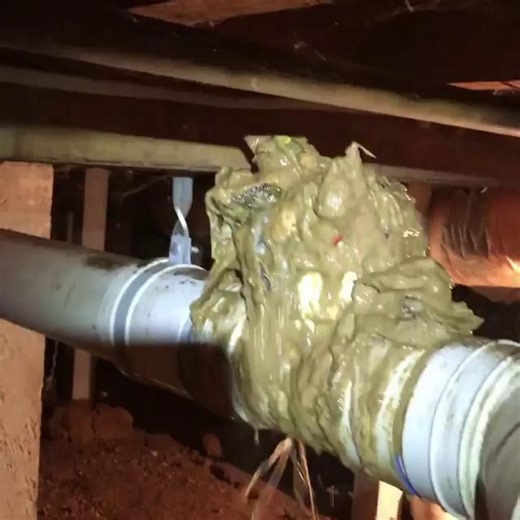 Sydney Water on Instagram: "Still treating your toilet like a bin? Then watch this 😱 While things like wet wipes, tissues, cottons buds and sanitary products might disappear when flushed, once past the s-bend, they can get caught and block household pipes, causing toilets to backflow into bathrooms. Not only is this as gross as it looks, it comes with a costly plumbing bill. The good news: it’s avoidable. Only flush the 3Ps - Pee, Poo, and toilet Paper - to steer clear of nasty (and expensive) 