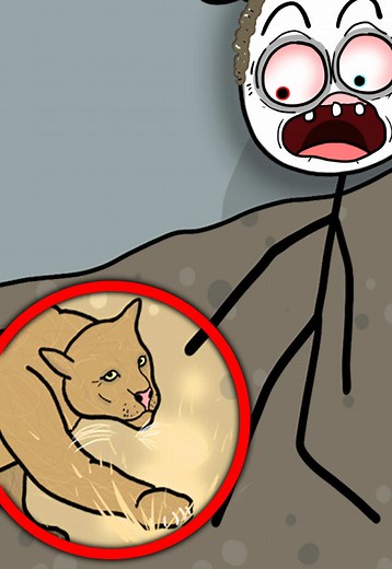 How to React If a Mountain Lion Attacks