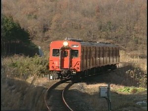 ｷﾊ35系,八高線