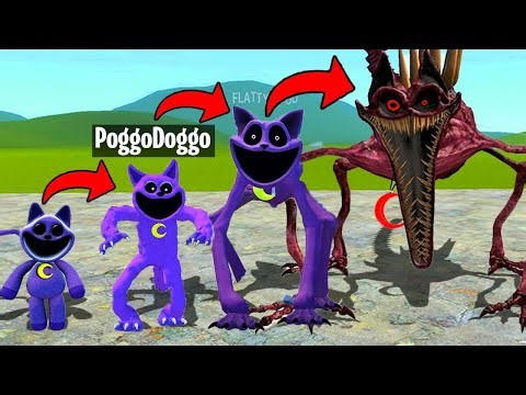 L'EVOLUZIONE DI CATNAP DI POPPY PLAYTIME CAPITOLO 3 SU GMOD CON POGGODOGGO!!