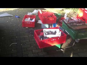 Renault Dialogys Lenkradstellung vermurkst 3