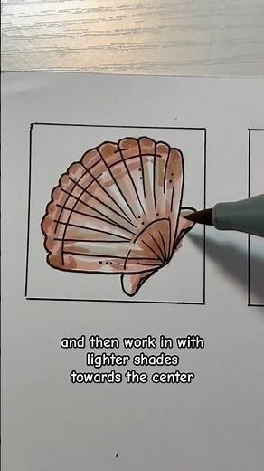 draw a seashell 🐚 easy art tutorial