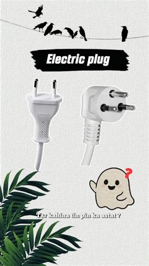 2 Pin vs 3 Pin plug secret!🤯🤯 #fact