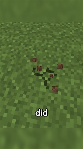 Exploring Non-Dirt Blocks in Minecraft