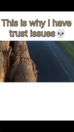 official___uk_boy on Instagram: "Title: Final Destination 2 🪵🩸 Director: David R. Ellis Genre: Supernatural Horror / Slasher Runtime: 1 hour 30 minutes Language: English Release date: January 31, 2003 Cast: Ali Larter, A.J. Cook, Michael Landes, David Paetkau Plot summary: After Kimberly Corman has a premonition of a horrific highway pileup that kills everyone involved, she blocks the on-ramp, saving a group of strangers. However, Death begins to hunt the survivors one by one, as they were nev