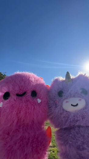 Our Fluffie friends are savoring the crunchy leaves and the crisp morning air 🍂 #fluffiestuffiez #pullthefluff