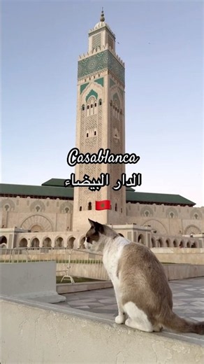 🇲🇦 Casablanca الدار البيضاء