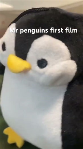 Mr penguins first film #film #penguin