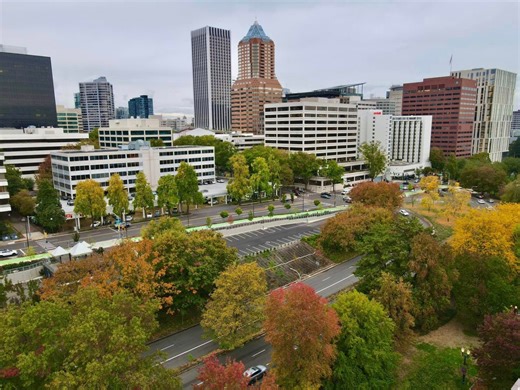 MAP: Here's when fall foliage peaks in the PNW