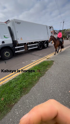 🐎 | Robie Sinnott