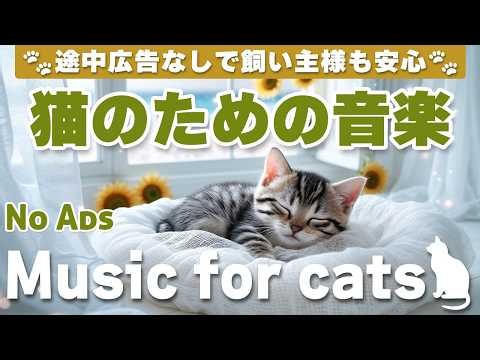 猫が落ち着く音楽（12時間・途中広告なし）｜留守番中も安心できるヒーリングピアノBGM | Relaxing Music for Cats | No Ads | 12 Hours _vol.646
