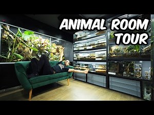 8 Years Later...Complete Animal Room Tour