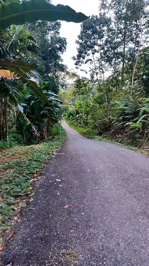 Is Your Vivo V15 Broken? Replace the LCD Now, It Won't Cost a Lot! #LCDVivoV15 #LCDVivoOriginal