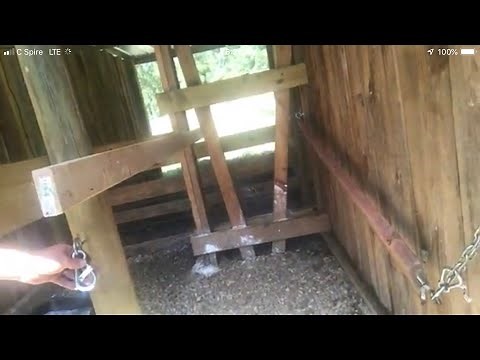 How To Train Your FAMILY MILK COW | Milking Cows 101