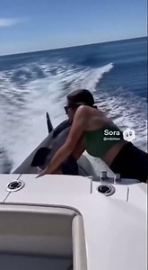 Dolphin Jumps Into Woman's Arms to Escape Killer Whale 😭❤️