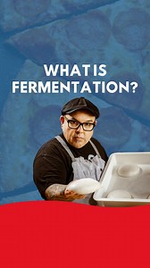 5.3K views · 97 reactions | Let’s talk about fermentation, which is the process of yeast eating sugar to create gas, specifically carbon dioxide and ethyl alcohol. This is the leavening process that raises the dough and makes it nice and gassy and airy. | Pizza University & Culinary Arts Center | Facebook