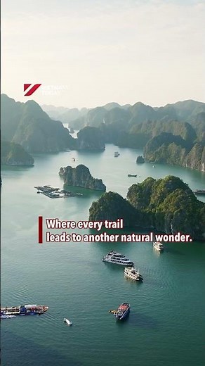 Cat Ba National Park: A natural treasure | Vietnam Today