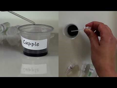 Video Lab | Keeping a Balance | Homeostasis and Negative Feedback