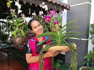 How to plant orchids in bamboo. This idea for in door and out door #OrchidsTips #CraftIdeas #DIYlnsider | DiY Insider