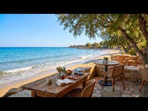 Quiet Seaside Corner 🌊 Ocean Waves, Birdsong & Nature Sounds for Reading, Focus and Peaceful Rest